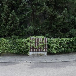 Der Markt by Daniel Rupp