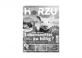 Der Markt by Daniel Rupp