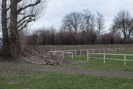 Monumentenstrasse by Daniel Rupp