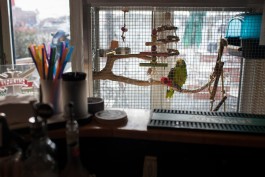 Monumentenstrasse by Daniel Rupp